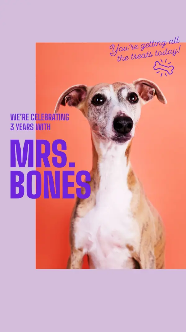 Celebrating 3 years with Mrs. Bones
