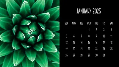 Succulents monthly calendar modern-simple