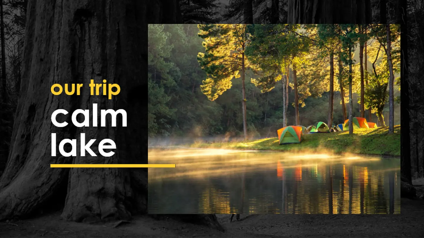 Tranquil forest photo slideshow black modern bold
