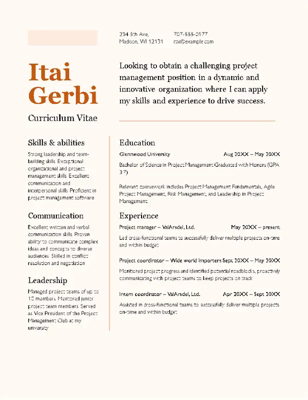 CV (resume) modern color block