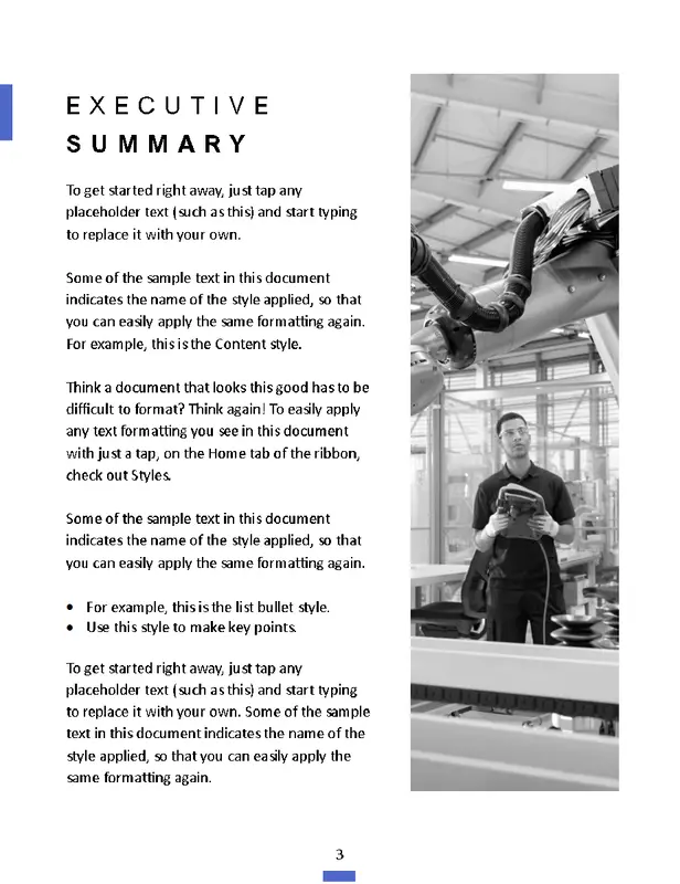 Sample Report Writing Template