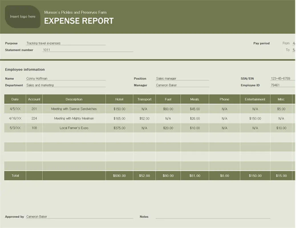 Expense report modern simple