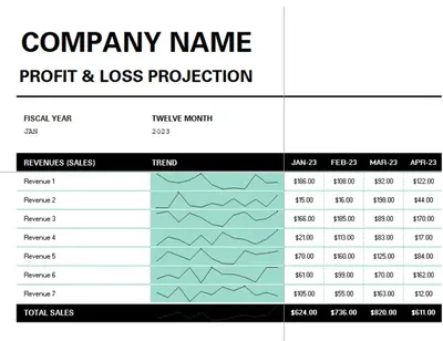 Profit and Loss Income Statement