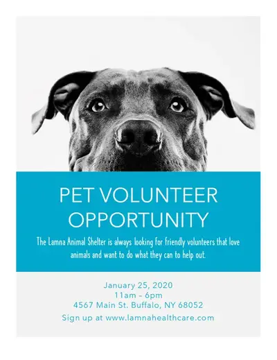Pet volunteer opportunity flyer blue modern