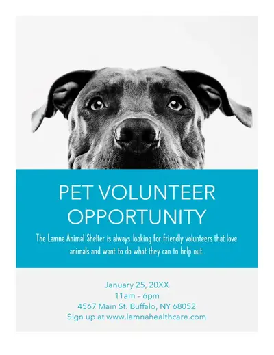 Pet volunteer opportunity flyer blue modern simple