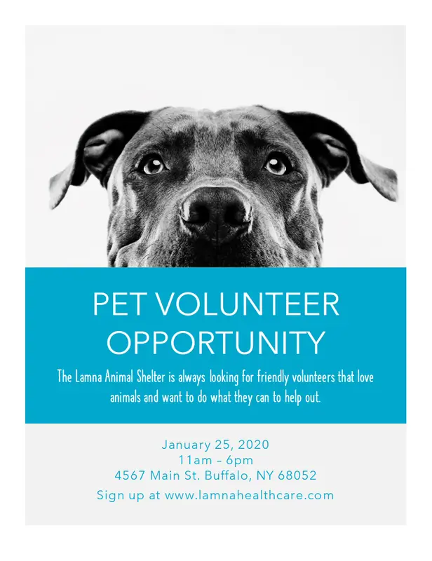 Pet volunteer opportunity flyer blue modern