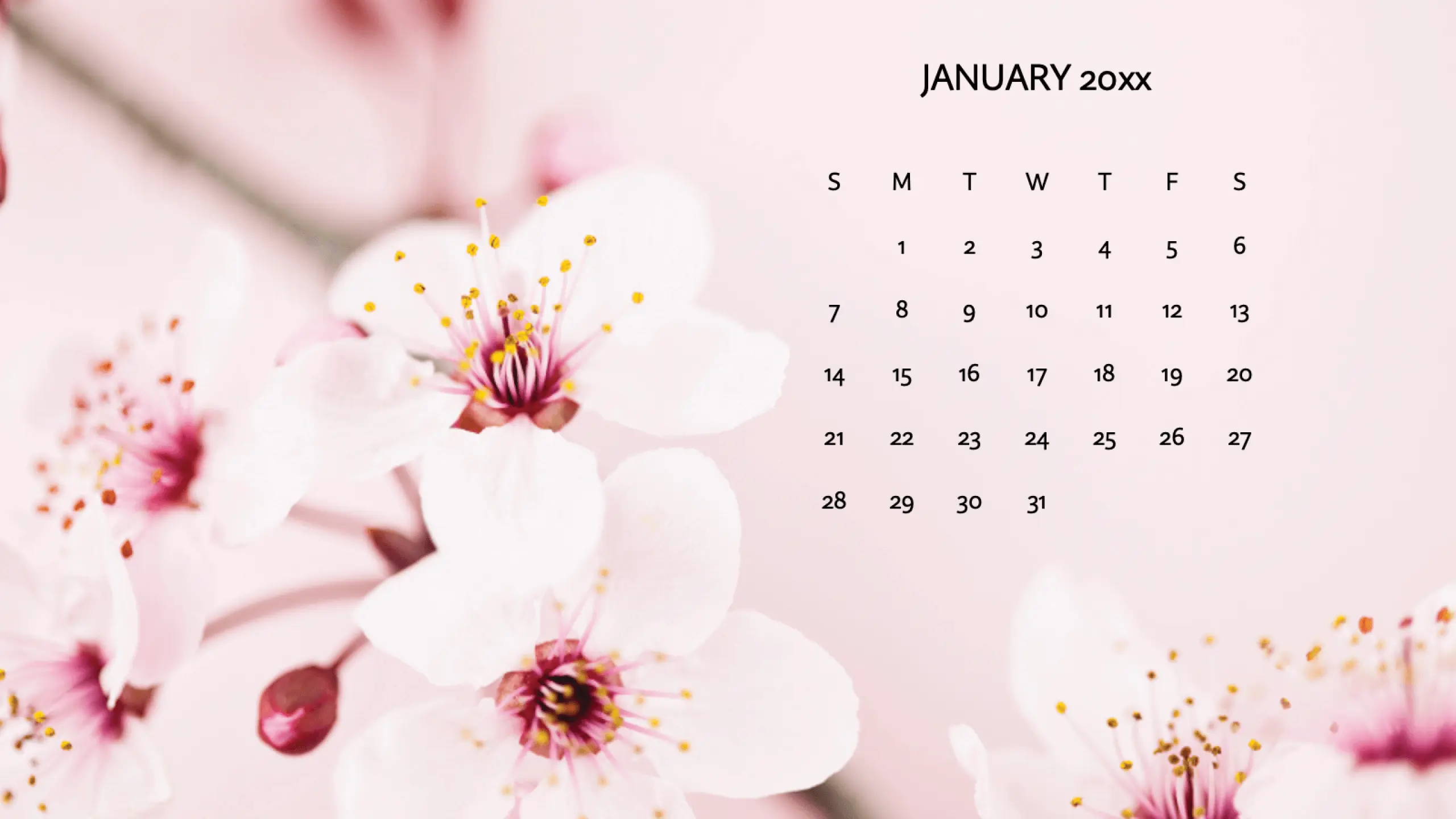 Floral photo calendar modern-simple