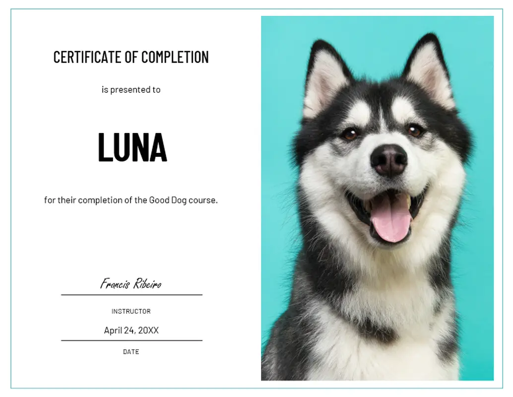 Dog training certificate