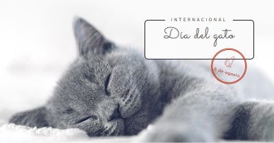 Siesta de gato gray modern-simple