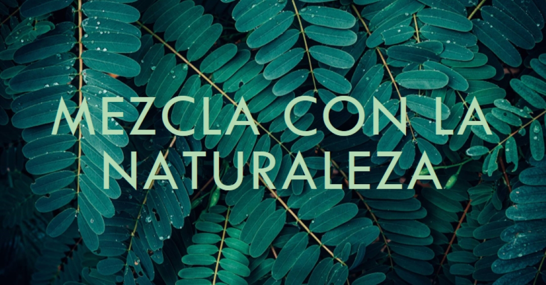 Mezclar con la naturaleza green modern-simple