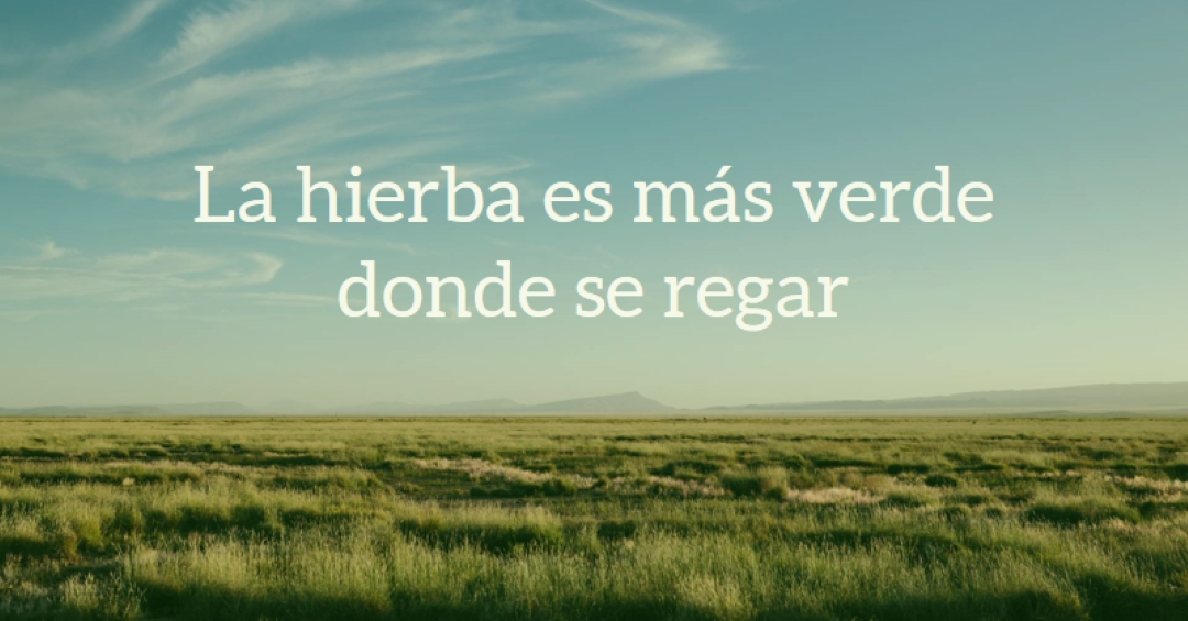Mejor naturaleza blue modern-simple