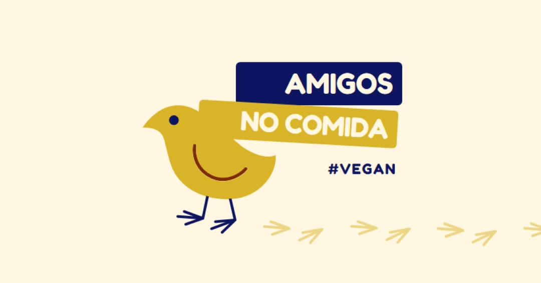 Amigos, no comida yellow whimsical-color-block