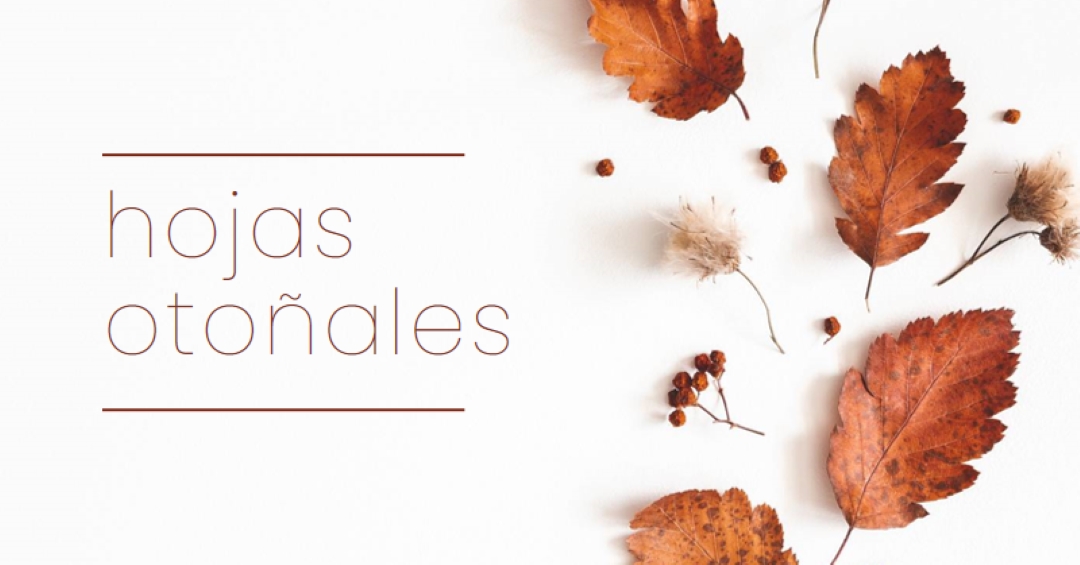 Las hojas han caído white modern-simple