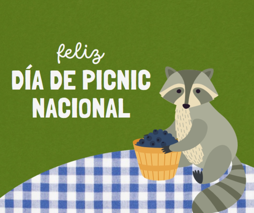 Feliz Día Nacional de Picnic green whimsical-color-block