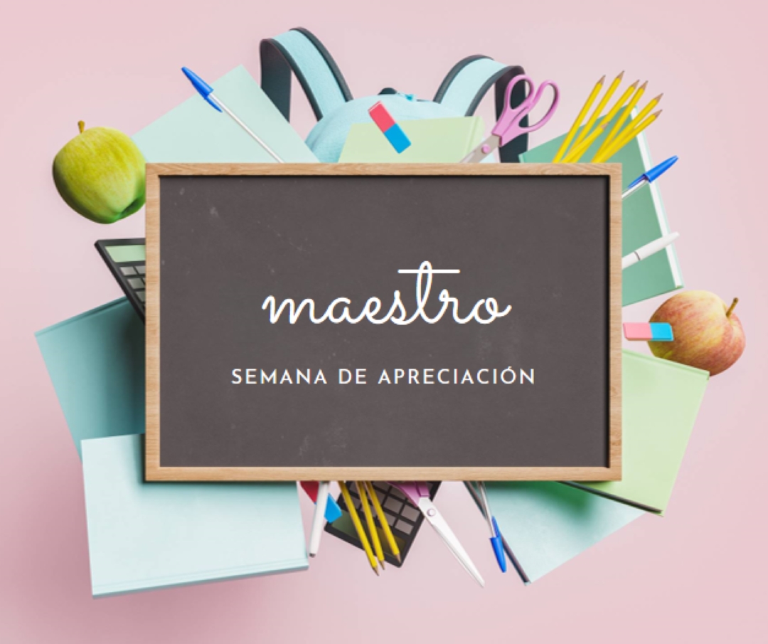 Apreciando a los profesores pink modern-simple