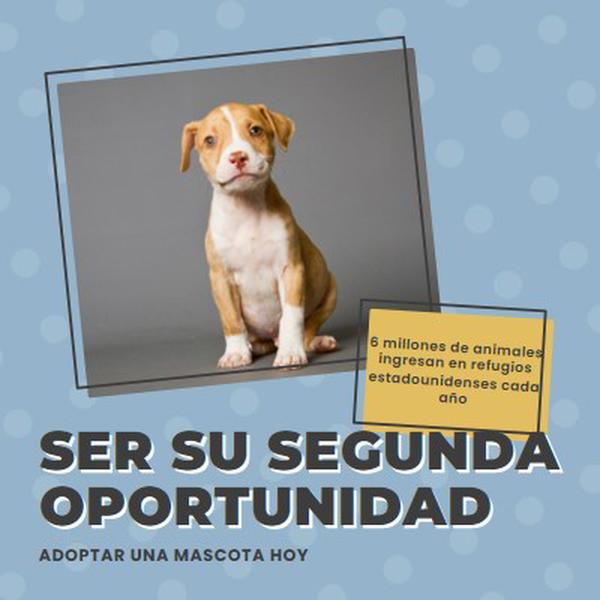 Cachorro de segunda oportunidad blue modern-bold