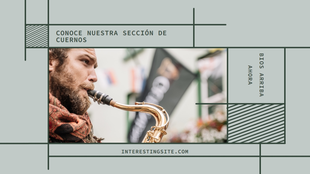 Conoce nuestra sección de cuernos gray modern-geo-&-linear