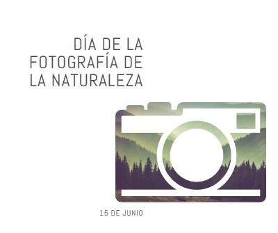 Día de la fotografía de la naturaleza white modern-simple