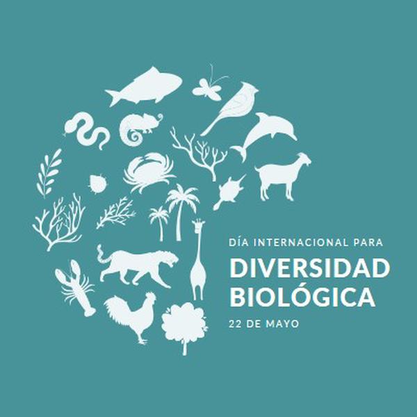 Celebrar el Día Mundial de la Biodiversidad blue modern-simple