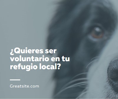 Ser voluntario y animar blue modern-simple