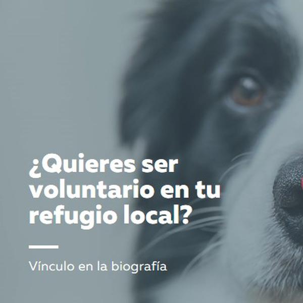 Ser voluntario y animar blue modern-simple