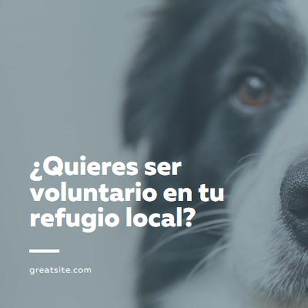 Ser voluntario y animar blue modern-simple