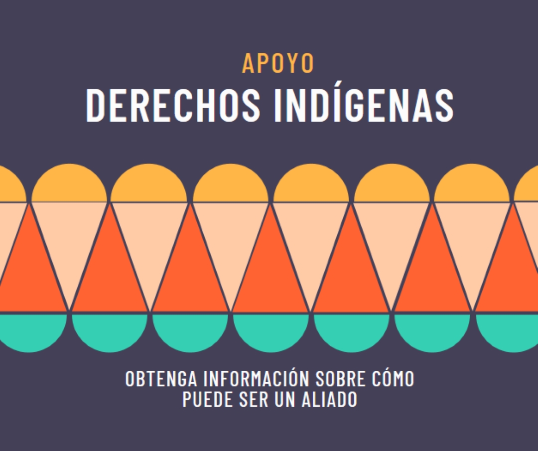 Apoyar los derechos indígenas blue modern-color-block