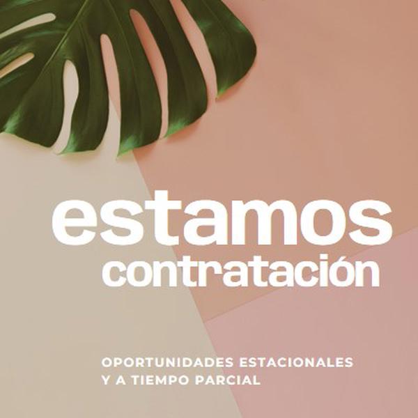 Estamos contratando trabajadores estacionales pink modern-simple