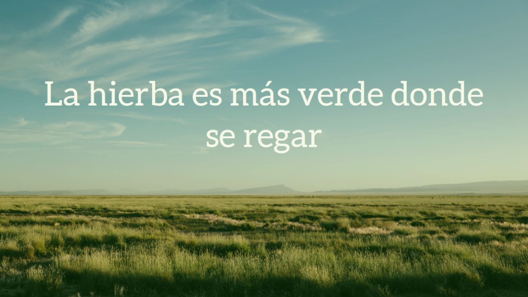 Mejor naturaleza blue modern-simple