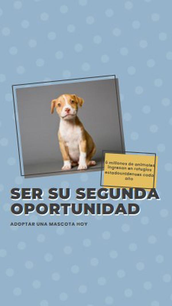 Cachorro de segunda oportunidad blue modern-bold