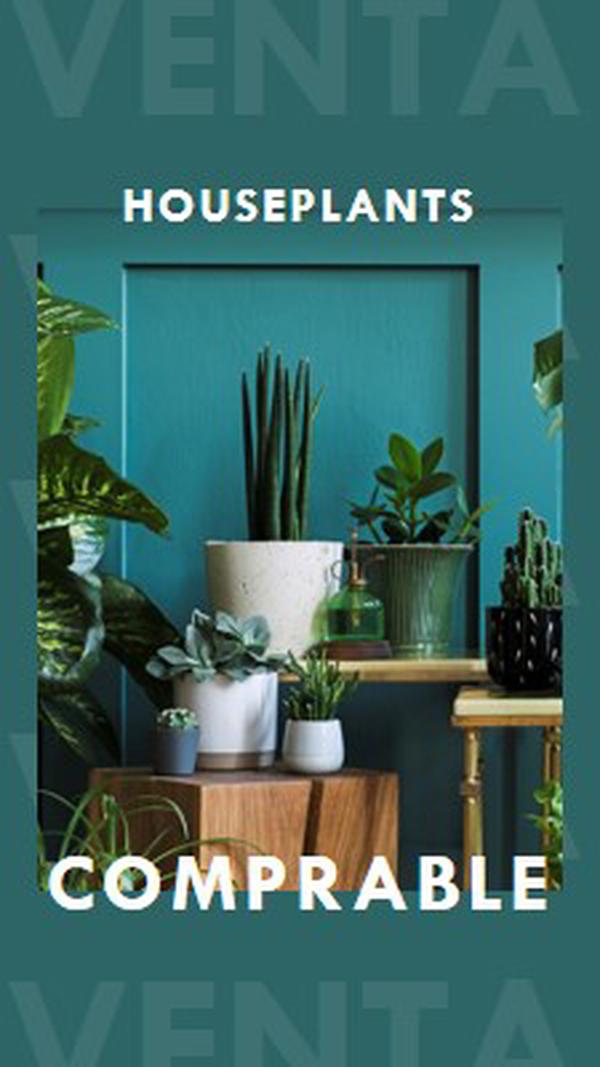 Energía de la planta green modern-bold