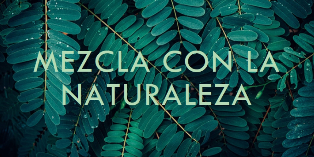 Mezclar con la naturaleza green modern-simple