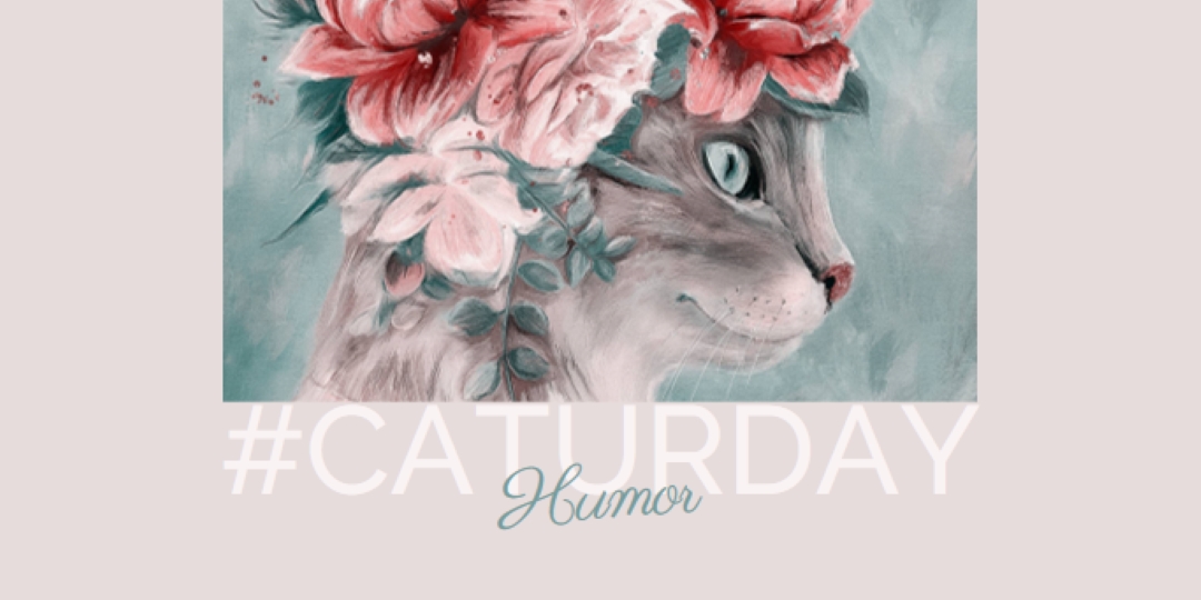 Sentimientos felinos pink modern-simple
