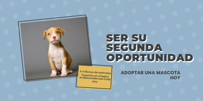 Cachorro de segunda oportunidad blue modern-bold