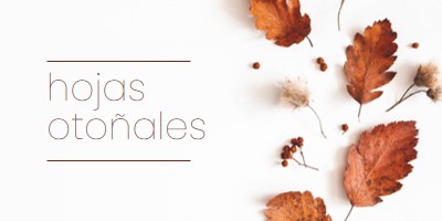 Las hojas han caído white modern-simple