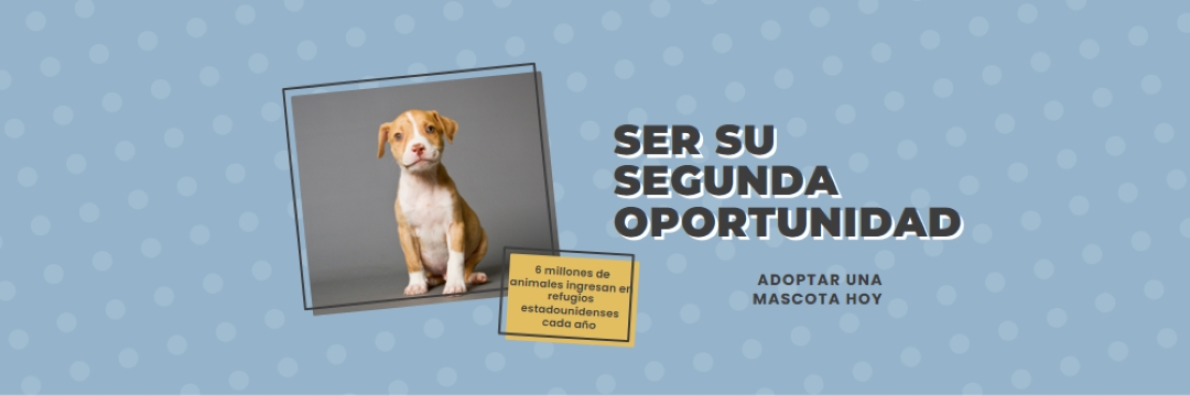 Cachorro de segunda oportunidad blue modern-bold