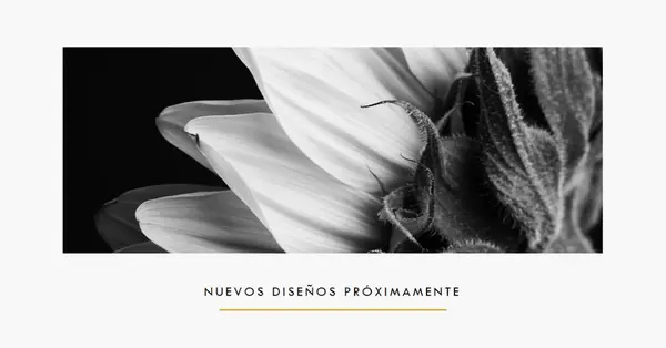 Pétalos crispos white modern-simple