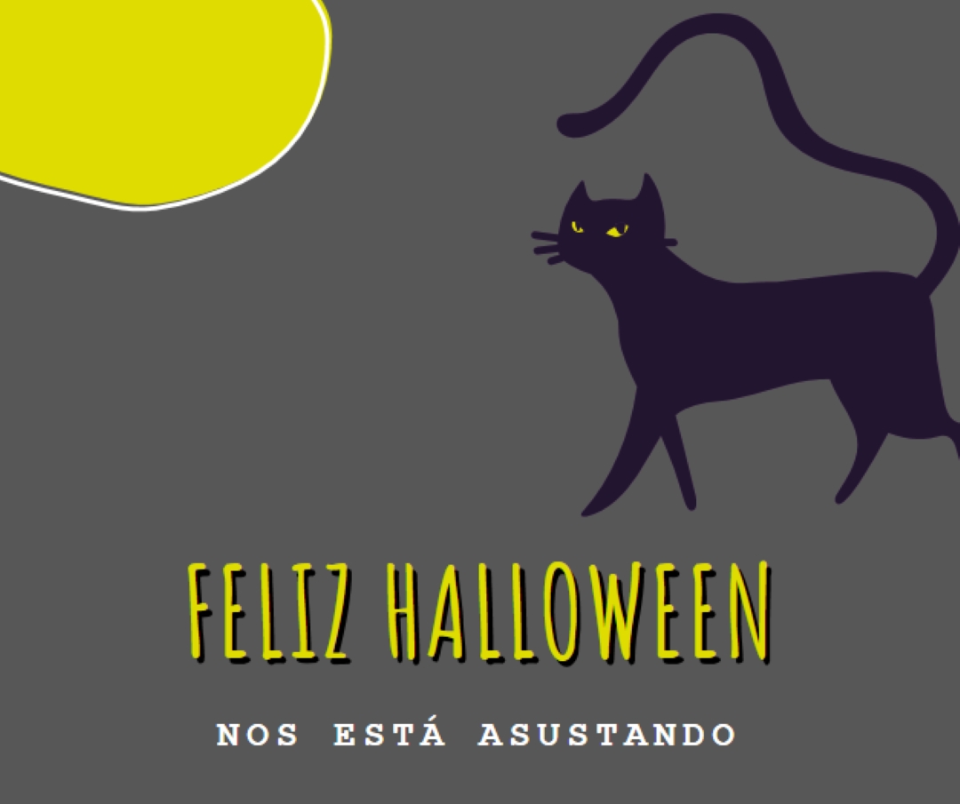 Gato espeluznante black whimsical-color-block