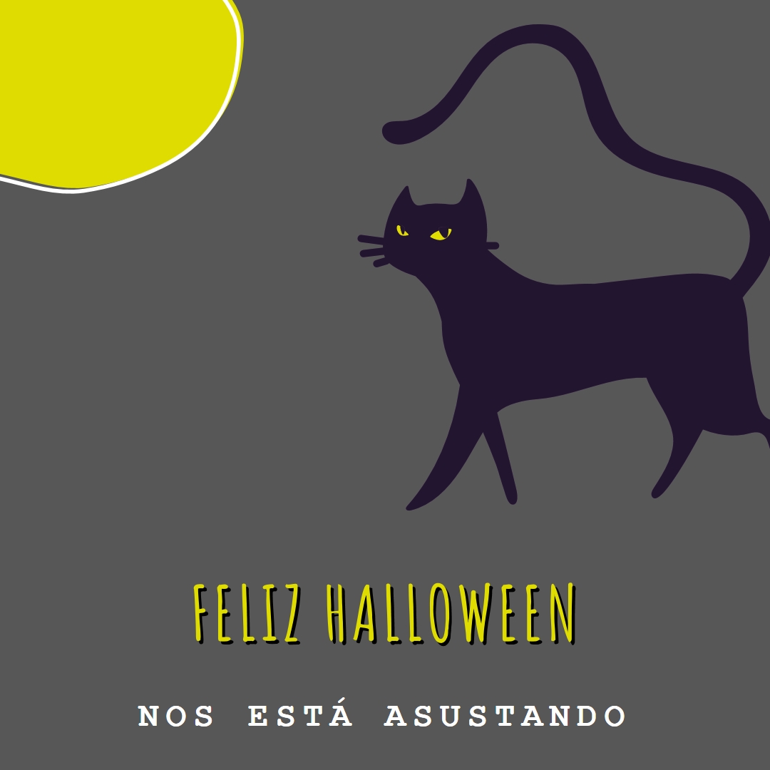 Gato espeluznante black whimsical-color-block