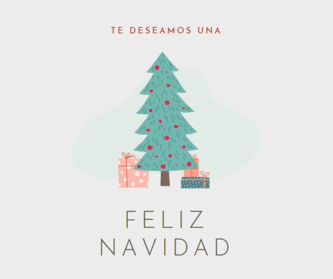 Deseando una feliz Navidad pink whimsical-color-block