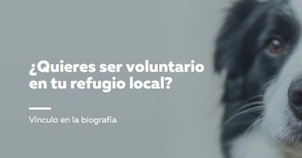 Ser voluntario y animar blue modern-simple