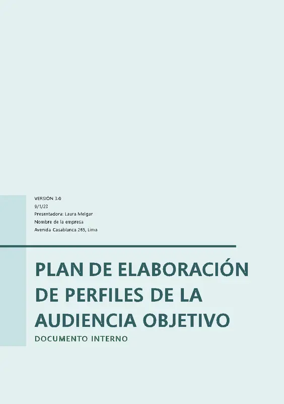 Plan de elaboración de perfiles de la audiencia objetivo modern simple