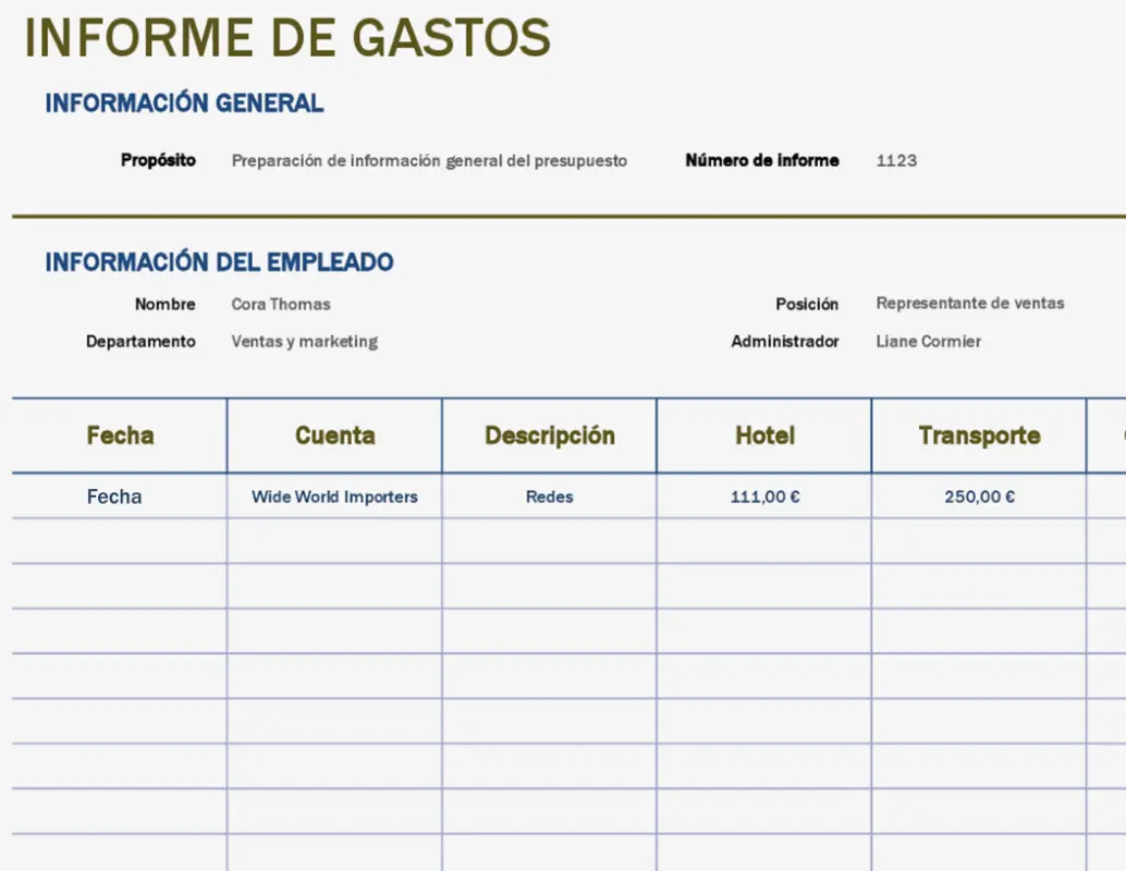 Informe básico de gastos gray modern simple