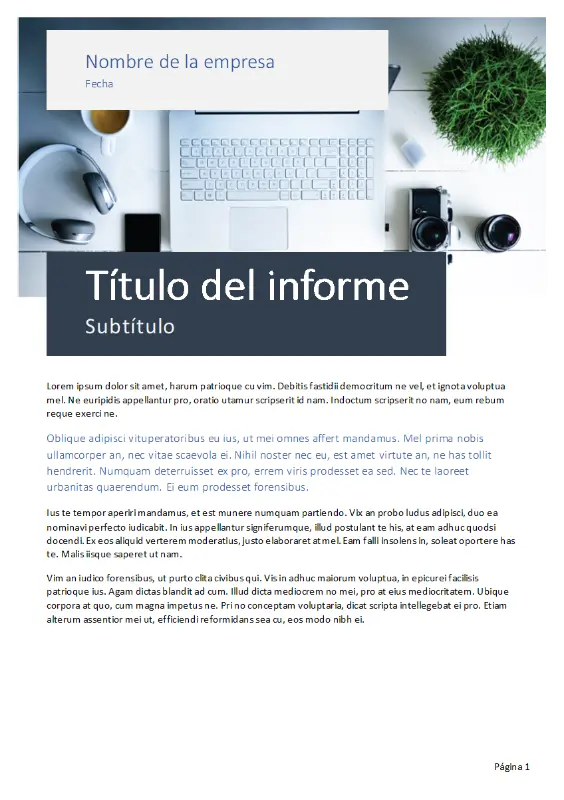 Informe (tema Origen) gray modern simple