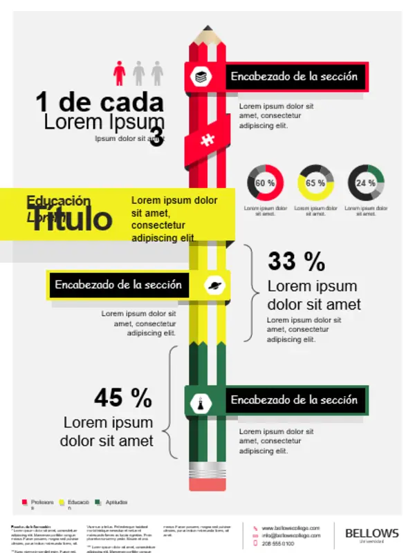 Póster de infografías de educación red modern-bold