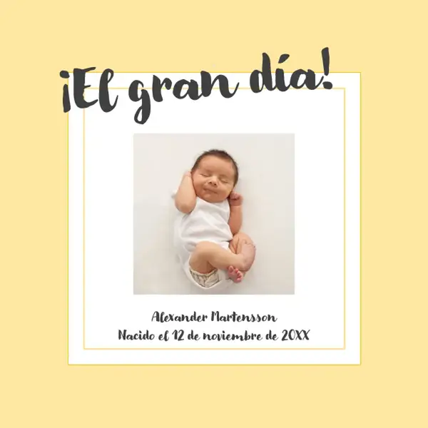 Álbum de fotos de etapas de bebé whimsical color block