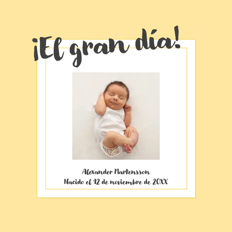 Álbum de fotos de etapas de bebé whimsical color block