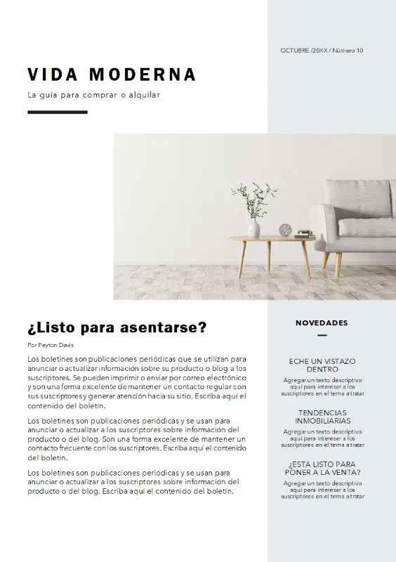 Boletín inmobiliario modern-simple