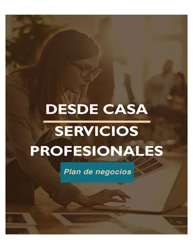 Plan de negocios doméstico