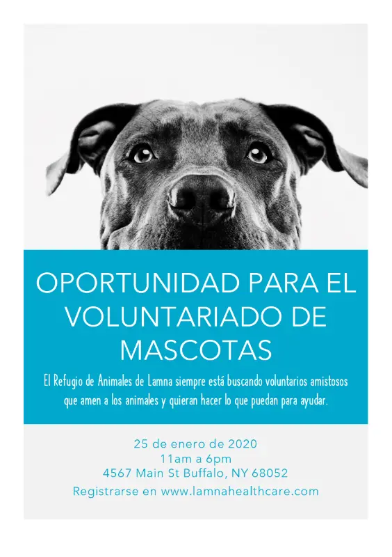 Folleto de oportunidad de voluntariado con mascotas blue modern-simple